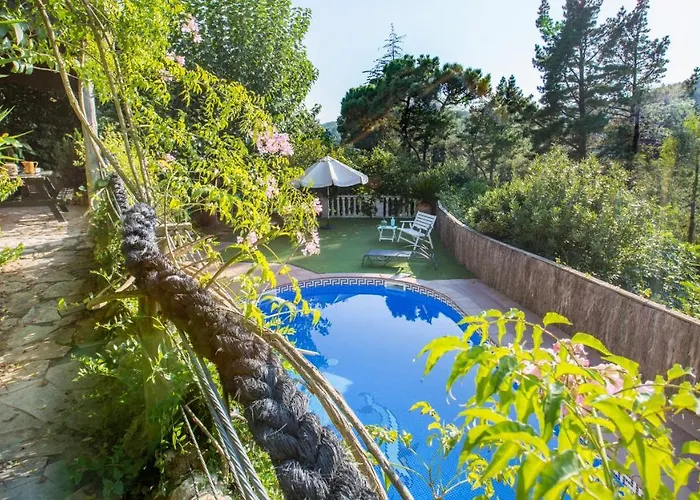 Dama Villa Mont Barbat